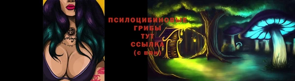 таблы Гусь-Хрустальный