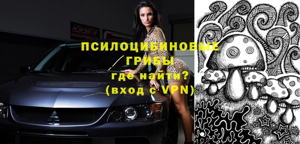 тгк Горно-Алтайск