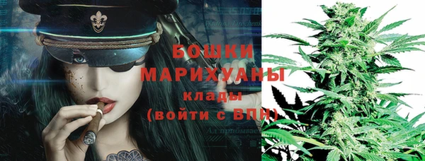 a pvp Горнозаводск