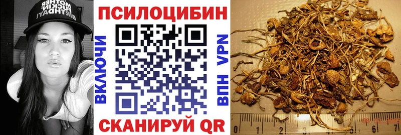 наркошоп  Перевоз  Псилоцибиновые грибы ЛСД 